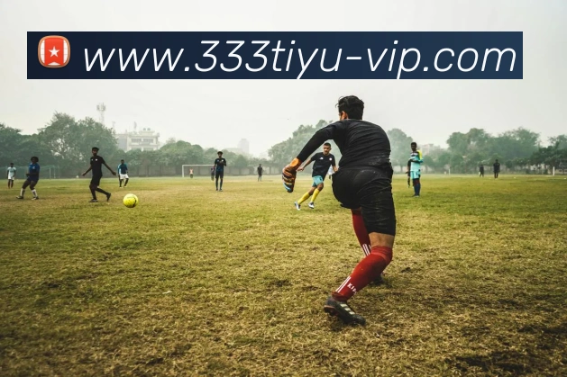 333体育 - 打造备受球迷信赖的综合体育新闻资讯平台APP 高清赛事图